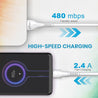 pTron Solero i241 1meter 2.4A Lighting to USB Fast Charging Data & Sync USB Cable Compatible for iPhone/iPad, Made in India Durable & Tangle-Free Charging Cable (White)