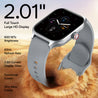 pTron Reflect MaxPro 2.01 inch Square Dial Smartwatch, Full Touch Display, Bluetooth Calling, Functional Crown, 600 NITS, 100+ Watch Faces, HR, SpO2, 5 Days Battery Life & IP68 (Silver)