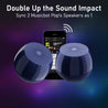 pTron Musicbot Pop Mini 8W Wireless Speaker, Immersive Sound, 52mm Driver, 8H Playtime, Bluetooth V5.3, MicroSD Card & USB Playback, TWS Pairing Feature, Integrated Music Control (Blue)