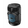 pTron Fusion Octane 48W Bluetooth Party Speaker w/Punchy Sound, 8 inch Neo Driver, Breathing RGB Lights, 6Hrs Playtime, BT5.3/Aux/TF Card/USB Playback Modes, Type-C Charging, Portable (Jade Black)