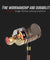 PTron Aristo In-ear Headphone with Noise Cancellation for All Smartphones (Gold)