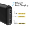 PTron Dynamo Z Dual USB 10000mAh Compact Power Bank for All Smartphones (Black)