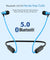 pTron Bassfest Plus Magnetic in-Ear Bluetooth 5.0 Wireless Headphones, Stereo Sound with Bass, IPX4 Water & Sweat Resistant, Voice Assistance, Ergonomic & Lightweight, Built-in Mic - (Black & Blue)