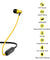 pTron Avento Classic Bluetooth 5.0 Wireless Earphones with Deep Bass & Voice Assistance (Black/Yellow)