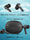 pTron Basspods P481, 60Hrs Playtime, Deep Bass, ENC Stereo Calls Bluetooth Headset  (Black, In the Ear)