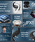 pTron Zenbuds Evo X2 Pro Open Ear Wireless Earbuds, SafeBeats Design, 4 QuadPro Mics with ENC Calls, 60H Playtime, Wraparound Audio, BT5.3 Headphones, Touch Control & Type C Fast Charging (Jet Black)
