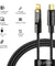 pTron Pace 30W Type-C to iOS Cable 1M (Black)