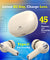 pTron Zenbuds Evo X5 ANC TWS Earbuds