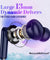 pTron Bassbuds Joy TWS Earbuds (Blue)