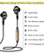 pTron BT Boom 4D Earphones - Gold/Black