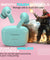 pTron Bassbuds Joy in-Ear Wireless Earbuds, Immersive Sound, 32Hrs Playtime, Clear Calls TWS Earbuds, Bluetooth V5.1 Headphone, Type-C Fast Charging, Voice Assist & IPX4 Water Resistant (Mint Green)