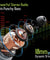 PTron Tangent Sports, BT5.2 Headphone, HD Mic, Dual Device Pairing, in-Ear Wireless Earphone (Green/Grey)
