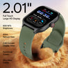 pTron Reflect MaxPro 2.01 inch Square Dial Smartwatch, Full Touch Display, Bluetooth Calling, Functional Crown, 600 NITS, 100+ Watch Faces, HR, SpO2, 5 Days Battery Life & IP68 (Green)