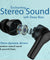 pTron Zenbuds Evo X1 Pro In-Ear TWS Earbuds with Quad Mic (Black)