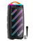 pTron Fusion Bold 100W Karaoke Bluetooth Party Speaker, Powerful Sound, RGB Lights, 3 mtr Wired Mic (Black)