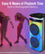 pTron Fusion Party Pro 100W Karaoke Bluetooth Party Speaker with 3M Wired Microphone & Wireless Microphone, Powerful Sound, Echo Control, BT5.0/USB/SD Card/AUX Playback & Remote Control (Satin Black)