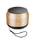 pTron Musicbot Lite 6W Bluetooth Speaker with 8Hrs Playtime, 2.04" Neo Driver for Pristine Sound, Mini Size Portable Speaker, BTv5.1 Connectivity, TWS Feature & Type C Charging (Gold)