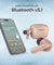 pTron Basspods P81 in-Ear Wireless Earbuds, Pristine Sound, 32Hrs Playtime, Clear Calls TWS Earbuds, Bluetooth V5.1 Headphone, Type-C Fast Charging, Voice Assist & IPX4 Water Resistant (Brown)