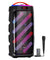 pTron Fusion Bold 100W Karaoke Bluetooth Party Speaker w/Immersive Stereo Sound, Vibrant RGB Lights, 3m Wired Mic, Playback via BT/USB/SD Card/Aux, Mini Remote Control & Type-C Charging (Raven Black)