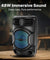 pTron Fusion Octane 48W Bluetooth Party Speaker w/Punchy Sound, 8 inch Neo Driver, Breathing RGB Lights, 6Hrs Playtime, BT5.3/Aux/TF Card/USB Playback Modes, Type-C Charging, Portable (Jade Black)