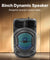 pTron Fusion Octane 48W Bluetooth Party Speaker w/Punchy Sound, 8 inch Neo Driver, Breathing RGB Lights, 6Hrs Playtime, BT5.3/Aux/TF Card/USB Playback Modes, Type-C Charging, Portable (Jade Black)