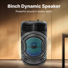 pTron Fusion Octane 48W Bluetooth Party Speaker w/Punchy Sound, 8 inch Neo Driver, Breathing RGB Lights, 6Hrs Playtime, BT5.3/Aux/TF Card/USB Playback Modes, Type-C Charging, Portable (Jade Black)
