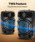 pTron Fusion Octane 48W Bluetooth Party Speaker w/Punchy Sound, 8 inch Neo Driver, Breathing RGB Lights, 6Hrs Playtime, BT5.3/Aux/TF Card/USB Playback Modes, Type-C Charging, Portable (Jade Black)