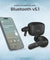 pTron Basspods P81 in-Ear TWS Ear Buds, Immersive Sound, 32Hrs Playtime, Clear Calls, Bluetooth V5.1 Wireless Earphones, Type-C Fast Charging, Voice Assistant & IPX4 Water Resistant (Jet Black)