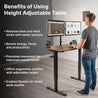 pTron EaseMate Table E1 Electric Height Adjustable Desk, 3 Memory Presets, Child, Ergonomic Sit-Stand Desk for Home Office/Studies, Strong Steel Frame, Engineered Wood, Digital Display (Wooden & Black)
