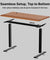 pTron EaseMate Table E1 Electric Height Adjustable Desk, 3 Memory Presets, Child, Ergonomic Sit-Stand Desk for Home Office/Studies, Strong Steel Frame, Engineered Wood, Digital Display (Wooden & Black)