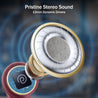 pTron Bassbuds Eon in-Ear TWS Earbuds w/ 13mm Drivers, 45Hrs Playtime, Dual HD Mic & TruTalk AI-ENC Calls, Custom EQ,Mobile App, Bluetooth v6.0 Headphones,Voice Assist., Type C Charging & IPX5 (Maroon)