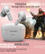pTron Basspods P81 TWS Earbuds (White)