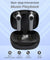 pTron Basspods 281 In-Ear True Wireless Stereo Bluetooth Earbuds (Black/Gray)