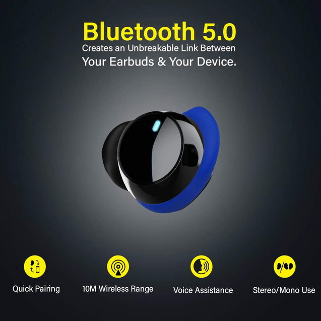 pTron Playbuds True Wireless Headphones (TWS), Bluetooth 5.0, Hi-Fi Sound with Bass, Ergonomic Earbuds, Auto Pairing, Passive Noise Cancellation, Voice Assistance & Built-in Mic - (Black & Blue)