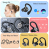 pTron Bassbuds Sports V2 Bluetooth 5.3 Wireless Headphone with Earhooks, 48Hrs Playtime, ENC TWS Earbuds, Immersive Sound, Movie/Music Mode, Touch Control, Type-C Charging & Voice Assistant (Black)
